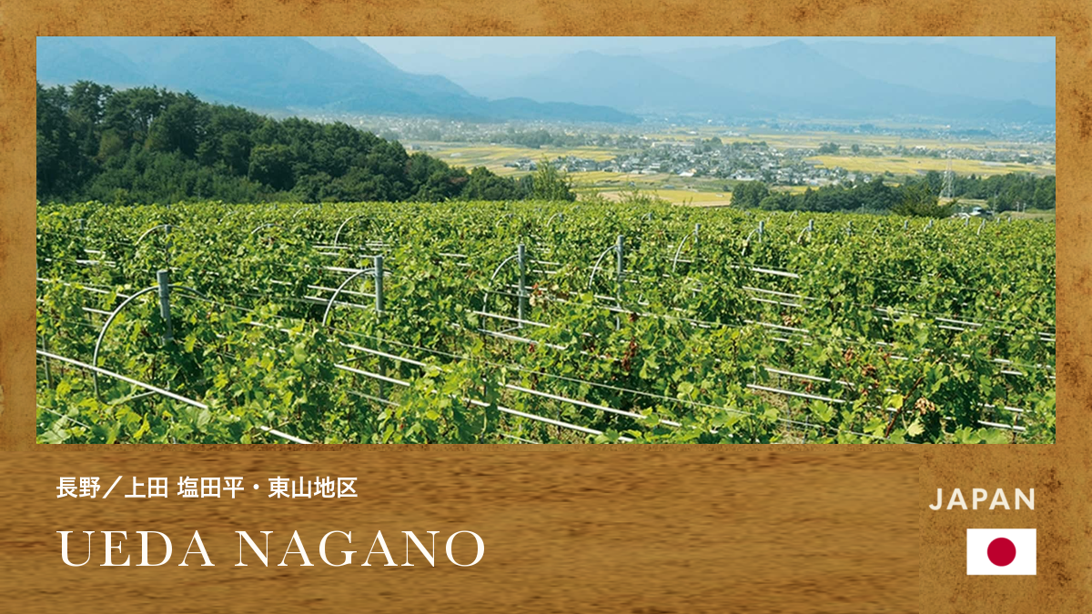 日本・長野・上田　生産地